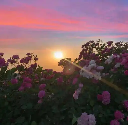 朋友圈背景图816