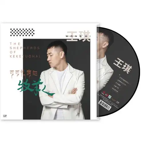 正版王琪歌曲专辑可可海的牧羊人黑胶唱片lp音乐cd
