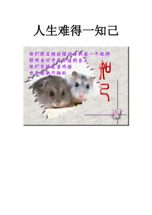 人生难得一知己