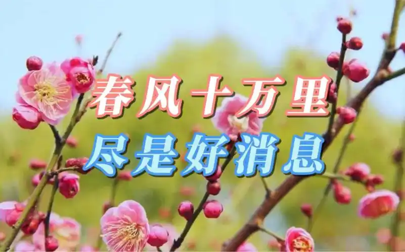 春风十万里尽是好消息