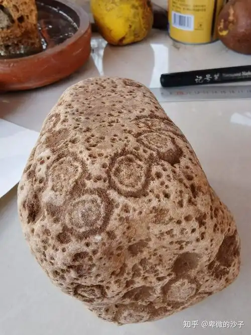 在汝州捡了几块花纹独特的石头