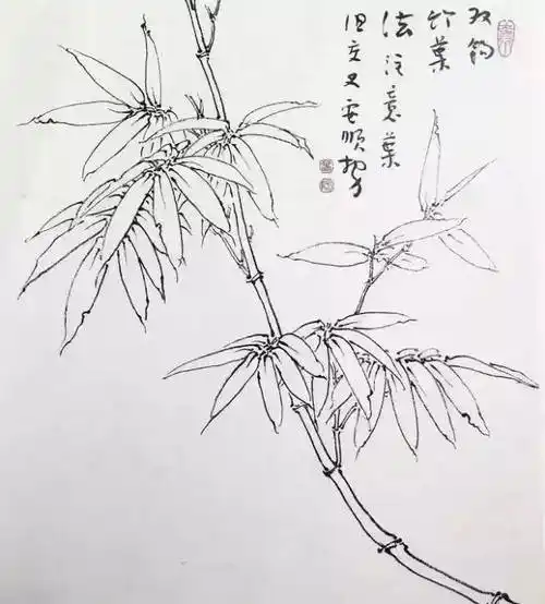 竹子的画法