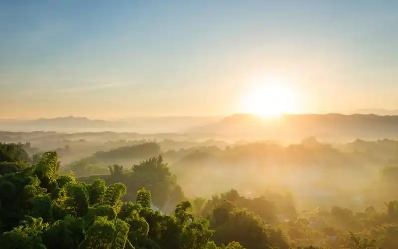 树景观阳光高清壁纸1280x1024分辨率查看