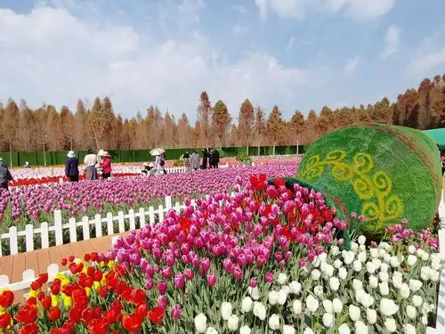 捞鱼河湿地公园2021郁金香花展