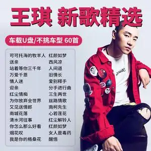 汽车载u盘王琪专辑可可托海的牧羊人无损音乐流行歌曲车用优盘mp3