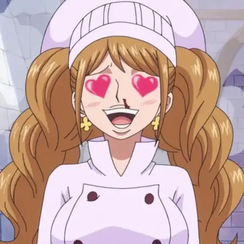 布琳 海贼王 自截