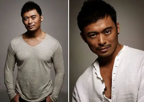 【图】甄子丹李连杰成龙谁功夫好 揭中国武打明星排行榜(2)_大陆星闻