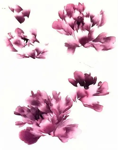 教你十招画好写意牡丹的花头