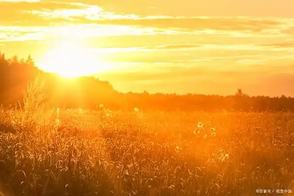 充满青春阳光的正能量句子