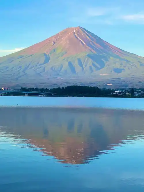 半年已过,愿远行人都看见最美的风景,愿归来者终等到最美的风景.