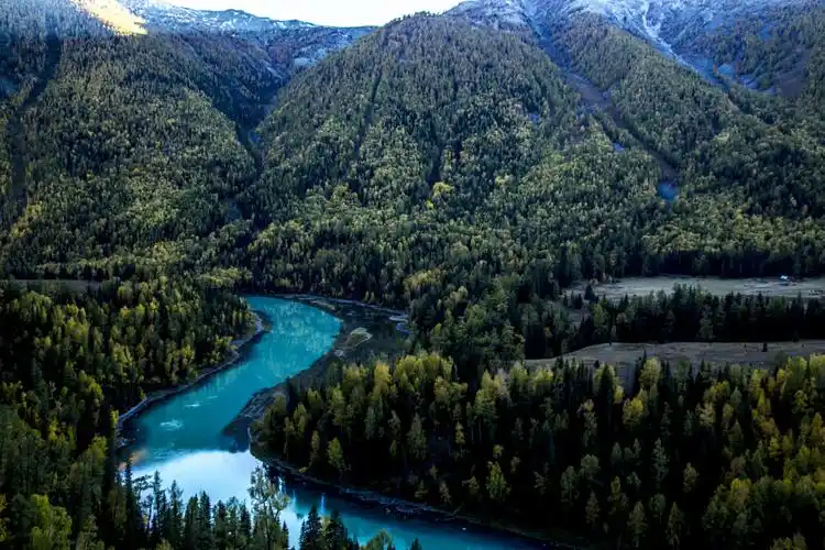 新疆行(二)白哈巴和喀纳斯