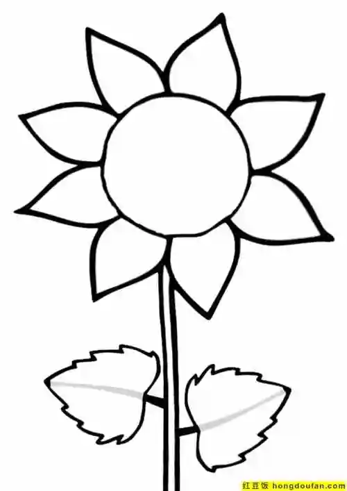 10张生气的高兴的向日葵花朵卡通儿童简笔画-红豆饭小学生简笔画大全