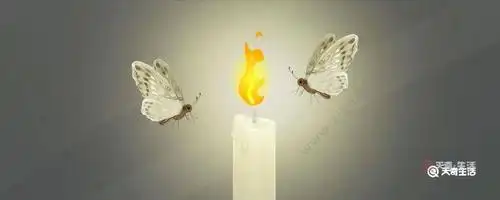 飞蛾扑火歇后语飞蛾扑火歇后语下一句