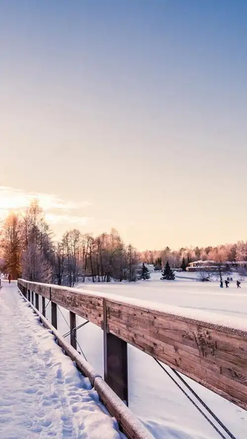 冬季雪花大气唯美h5背景图片