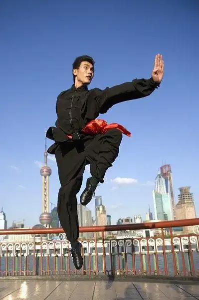 miaomituku从阿世mx转采于2019-05-09 16:31:26武术功夫图片1喜欢动作