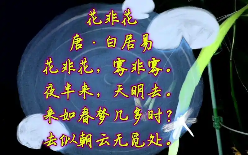 古诗:花非花