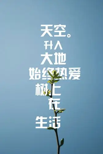 图文排版