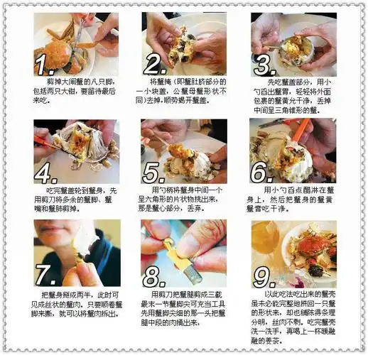 供应【兴化大闸蟹专卖】购买兴化大闸蟹就到沈氏水产