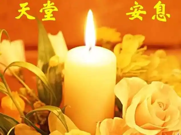 愿天堂没有病痛一路走好的哀悼句子我们只能在心里为死去的人默默祈祷