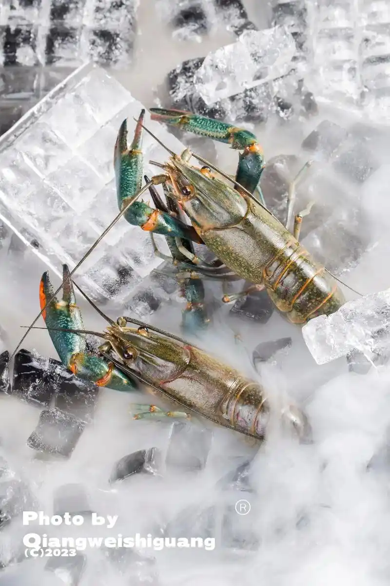 蓝色小龙虾.蓝龙写真,欢迎欣赏#美食摄影 #摄影 #产品拍摄 - 抖音