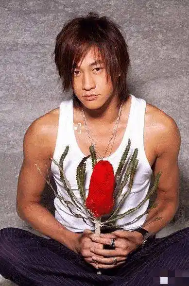 何润东婚后放飞自我, 从健身达人到又秃又胖, 网友:还我步惊云_身材