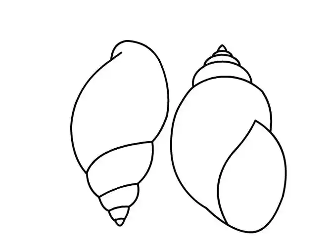 田螺怎么画 田螺简笔画-养娃家