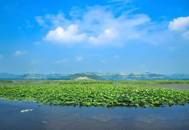 侯翠荣:协同推进降碳减污扩绿增长 奋力谱写美丽山东建设新篇章