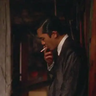 东邪西毒 梁朝伟