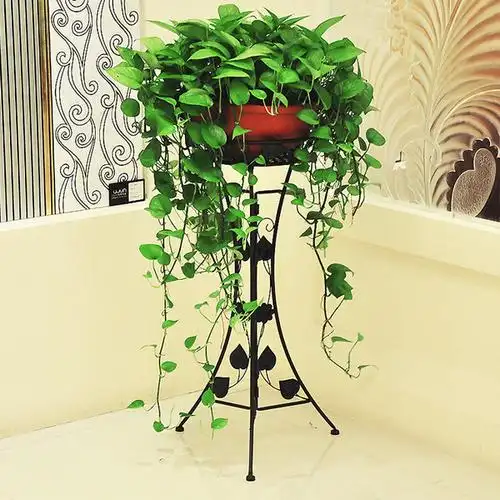 欧式铁艺花架子 阳台室内客厅 绿萝吊兰单层花盆架 落地式花.