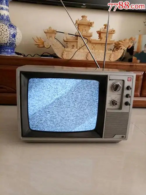 12寸天鹅牌黑白电视机