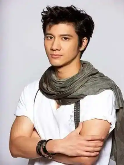 央视带王力宏杀回巅峰!