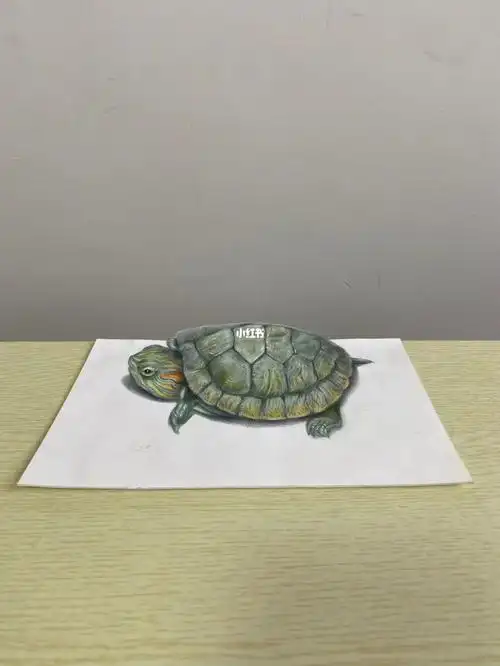 彩铅手绘3d立体画让画活起来