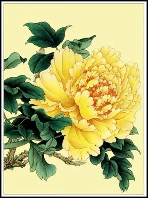 【转载】工笔牡丹花