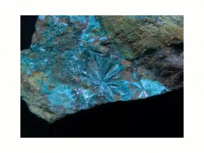 云南东川铜泡石蓝铜矿