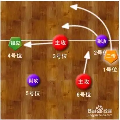 排球站位图解