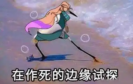 在xx的边缘疯狂试探是什么意思