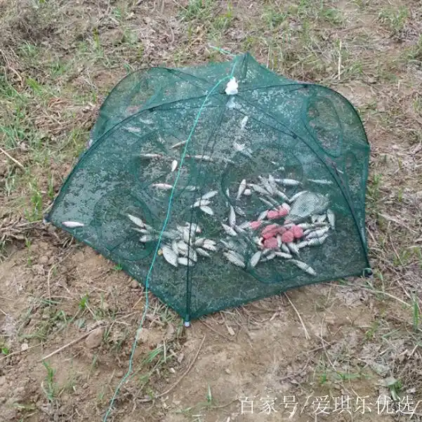 最新款地笼,伞形笼,野生鱼虾蟹捉到手软