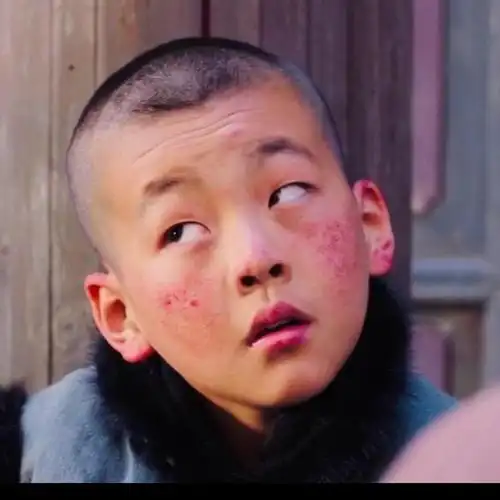 少帅张公子头像