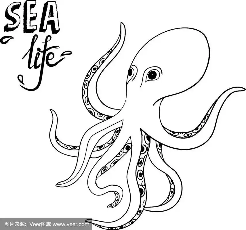 手绘章鱼素描野生海洋生物