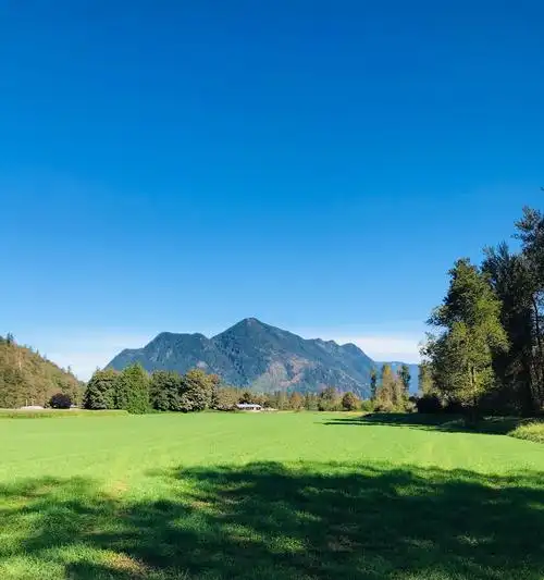 虽然疫情有所反复,却阻止不了我们投入大自然怀抱着热切.