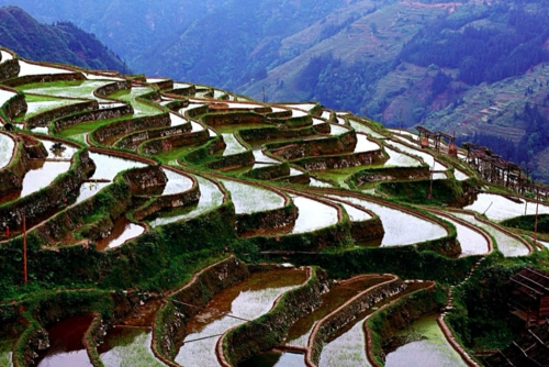 南方|梯田|灌溉_新浪新闻