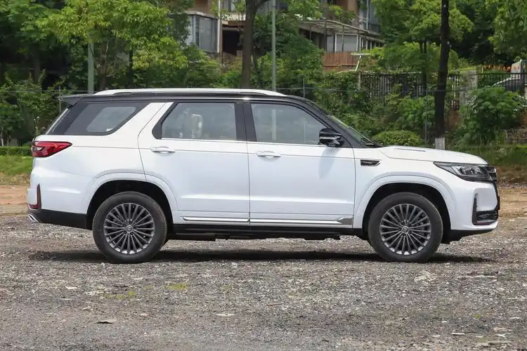 国产suv车身质量好的车国产最好的四驱越野车