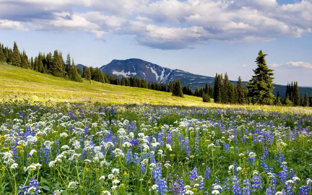 风景壁纸,唯美,护眼,高清,清新,蓝天,白云,自然风光,壁纸,1920x1200