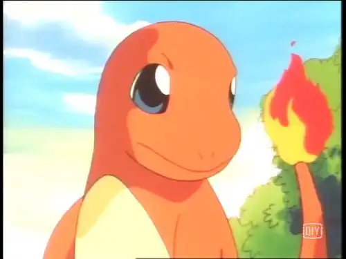 在所有神奇宝贝中,自始至终我最爱的都是——小火龙.