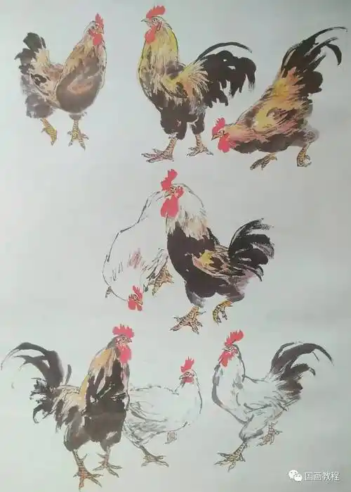 国画教程12集公鸡的步骤画法5