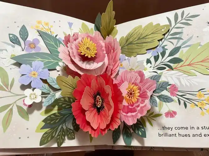 分享花卉立体书