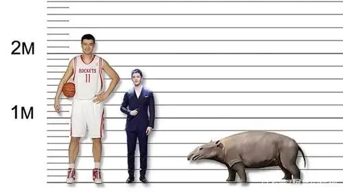 和姚明比身高:长相奇怪史前动物,比牛大的野猪,鼻子长角的鹿
