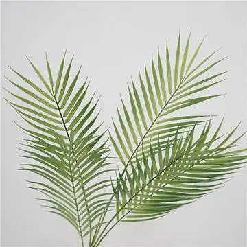 北欧ins风仿真绿植叶子棕榈叶散尾葵植物墙配材橱窗造景婚庆摄影