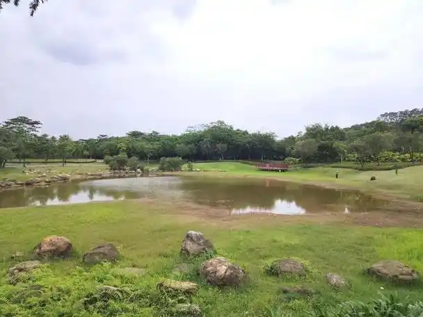 深圳龙岗红花岭公园