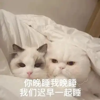 你晚睡我晚睡,我们迟早一起睡#抖音图文来了 #表情包 #艾特 - 抖音